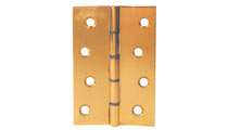Polished Brass Door Hinge