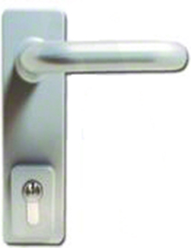 ASEC Lever Outside access device