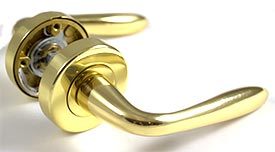 Pair of Polished Brass  Lever Handle on Rose - Sprung